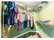 Walk-in closet with ample shelving and hanging space at 270 Pinewinds Blvd, Oldsmar, FL 34677