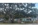 Newly painted home with teal shutters and a large oak tree in the front yard at 2820 W Leila Ave, Tampa, FL 33611