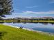 Tranquil lakefront view with two sandhill cranes and lush green grass at 30200 Southernwood Ct, Wesley Chapel, FL 33543