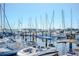 Boat marina with rows of sailboats and yachts docked on the water at 301 1St S St # 1104, St Petersburg, FL 33701