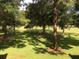 Backyard with deer grazing in a grassy field at 3505 Tarpon Woods Blvd # K409, Palm Harbor, FL 34685