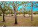 Spacious backyard with lush green grass and mature trees at 3505 Tarpon Woods Blvd # K409, Palm Harbor, FL 34685