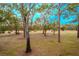 Open green space with mature trees in the backyard at 3505 Tarpon Woods Blvd # K409, Palm Harbor, FL 34685