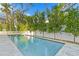 Backyard swimming pool view surrounded by beautiful landscaping at 4835 W San Jose St, Tampa, FL 33629