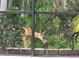 View of deer in backyard through screened enclosure at 5476 Oakridge Dr, Palm Harbor, FL 34685