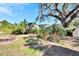 Spacious backyard with large oak tree and shed at 2905 N 13Th St, Tampa, FL 33605