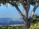 Picturesque water view through the tree branches, showing calm water and part of the shoreline, with a black metal fence at 1100 Monterey Ne Blvd, St Petersburg, FL 33704