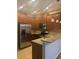 Modern kitchen with stainless steel appliances and granite countertops at 10235 Villa Palazzo Ct, Tampa, FL 33615