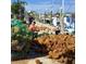 Harvested natural sea sponges drying on a dock at 39650 Us 19 N # 855, Tarpon Springs, FL 34689