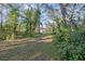 Private backyard with mature trees and a view of the home at 1919 E Hamilton Ave, Tampa, FL 33610