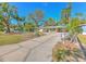 Landscaped yard with long driveway leading to a ranch home at 8012 N Lynn Ave, Tampa, FL 33604