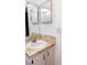 Bathroom features a vanity with a round sink and mirror at 11701 Raintree Village Blvd # C, Temple Terrace, FL 33617