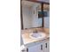 Bathroom vanity with round sink and mirror at 11701 Raintree Village Blvd # C, Temple Terrace, FL 33617