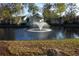 Exterior view of pond with fountain and mature trees surrounding the water at 4108 Pinelake Ln # 102, Tampa, FL 33618