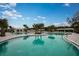 Resort-style pool with lounge chairs and palm trees at 10892 Ibis Brook Ct, Land O Lakes, FL 34638