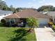 Single-story house with a brown roof, palm trees, and a well-maintained lawn at 3589 Oak Lake Dr, Palm Harbor, FL 34684