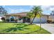 One story house with a palm tree in the front yard and attached garage at 3589 Oak Lake Dr, Palm Harbor, FL 34684