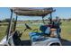 Golf course view from a golf cart, showing players on the green at 2226 Sifield Greens Way # 26, Sun City Center, FL 33573