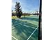 Well-maintained basketball court with new green surface and chainlink fence at 1433 Emerald Hill Way, Valrico, FL 33594