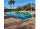 Relaxing pool with brick trim and lounge chairs for residents to enjoy at 1433 Emerald Hill Way, Valrico, FL 33594