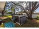 Spacious swim spa in a shaded backyard at 2227 Willowbrook Dr, Clearwater, FL 33764