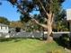 Backyard with a large tree and a white wall at 3499 Cedar Ln, Palm Harbor, FL 34684