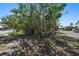 Vacant lot with overgrown vegetation at 7060 Boca Ciega Dr, St Pete Beach, FL 33706