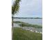 Peaceful waterfront view with lush vegetation at 8343 Fantasia Park Way, Riverview, FL 33578