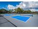 Several well-maintained pickleball courts at 943 Lucas Ln, Oldsmar, FL 34677