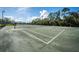 Expansive tennis courts with surrounding trees at 943 Lucas Ln, Oldsmar, FL 34677