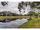 Pond view and lush landscaping in the backyard at 390 Cypress Creek Cir, Oldsmar, FL 34677