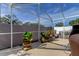 Screened pool area with potted plants and landscaping at 8622 Thimbleberry Ln, Tampa, FL 33635