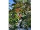 Lush tropical landscaping with flowering trees and a relaxing patio area at 105 162Nd Ave, Redington Beach, FL 33708