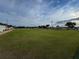 Expansive green lawn bowling court with flags and palm trees at 1923 Sterling Glen Ct, Sun City Center, FL 33573