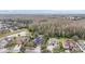 Aerial view of houses and landscape at 19230 Climbing Aster Dr, Tampa, FL 33647