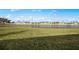 Expansive backyard with lush green grass and a scenic water view, creating a peaceful outdoor oasis at 17925 Nadine Pl, Nokomis, FL 34275