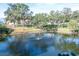 Scenic pond with a fountain and lush landscaping at 3207 Green Dolphin St, Tarpon Springs, FL 34689