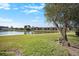 Scenic exterior view of the homes with a serene lake and lush green landscaping at 141 Lakeview Way, Oldsmar, FL 34677