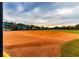 Community baseball field with palm trees and lighting at 16233 Amethyst Key Dr, Wimauma, FL 33598