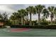 Outdoor basketball court with lush palm trees and green landscaping at 16233 Amethyst Key Dr, Wimauma, FL 33598