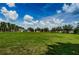 Wide shot of a green field bordered by various trees and under a blue, cloudy sky at 8319 Swiss Chard Cir, Land O Lakes, FL 34637