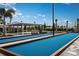 Well-lit bocce ball courts provide a fun outdoor activity at 10876 Ibis Brook Ct, Land O Lakes, FL 34638