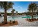 Large community pool with palm trees and brick pavers at 10876 Ibis Brook Ct, Land O Lakes, FL 34638