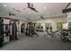 Well-equipped gym featuring treadmills and weight machines at 10876 Ibis Brook Ct, Land O Lakes, FL 34638