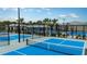 Several well-lit pickleball courts available at 10876 Ibis Brook Ct, Land O Lakes, FL 34638