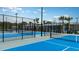 Well-maintained pickleball courts with ample space at 10876 Ibis Brook Ct, Land O Lakes, FL 34638