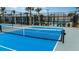 Multiple blue pickleball courts with fencing at 10876 Ibis Brook Ct, Land O Lakes, FL 34638