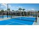 Newly built pickleball courts with blue surface and fencing at 10876 Ibis Brook Ct, Land O Lakes, FL 34638