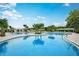 Resort-style pool with lounge chairs and palm trees at 10876 Ibis Brook Ct, Land O Lakes, FL 34638