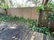 Backyard with wooden fence and overgrown vegetation at 432 2Nd Ne Ave, Largo, FL 33770